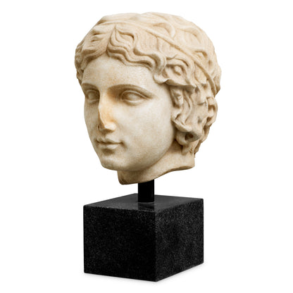 Bust of a youth marble